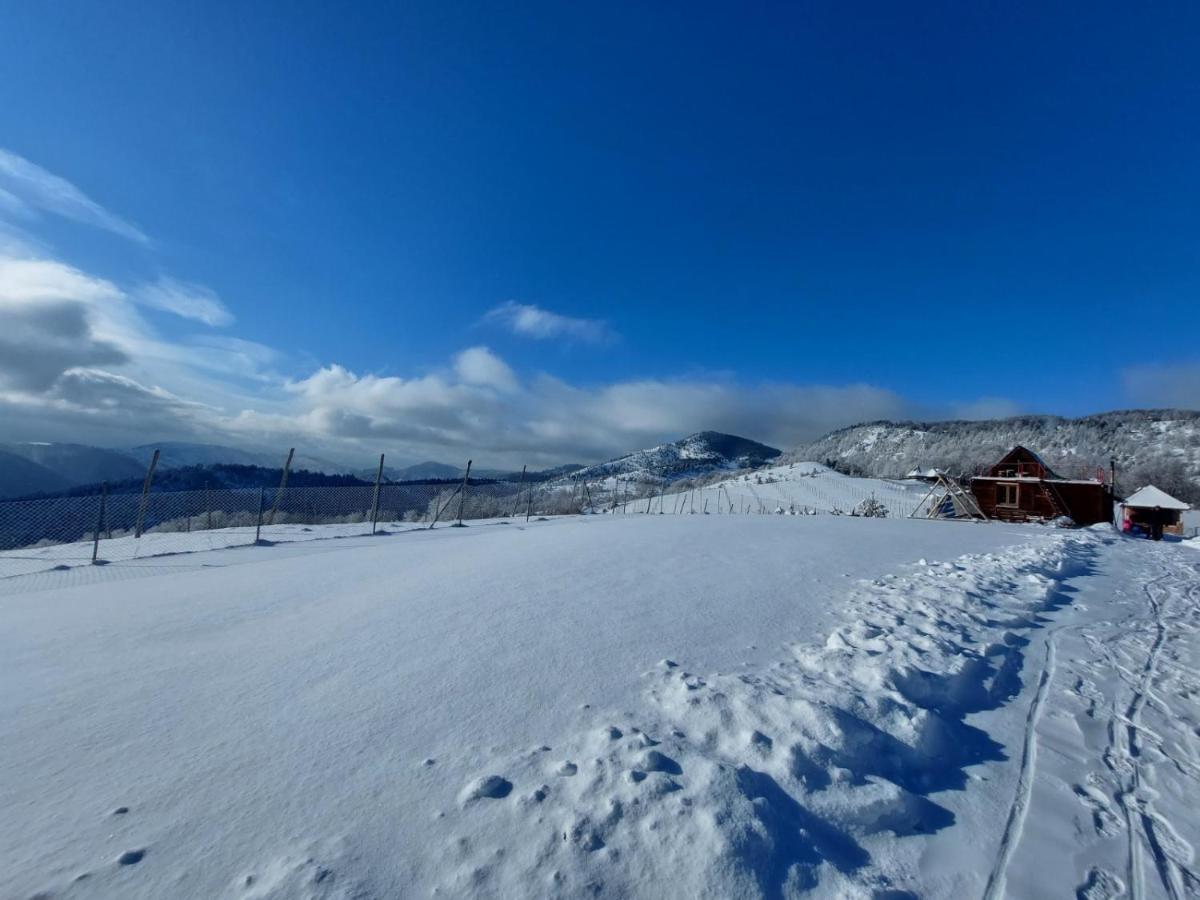 Vikendica RANKOVIĆI Villa Mokra Gora Buitenkant foto