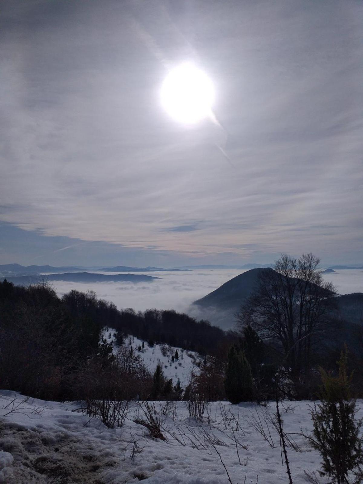 Vikendica RANKOVIĆI Villa Mokra Gora Kamer foto