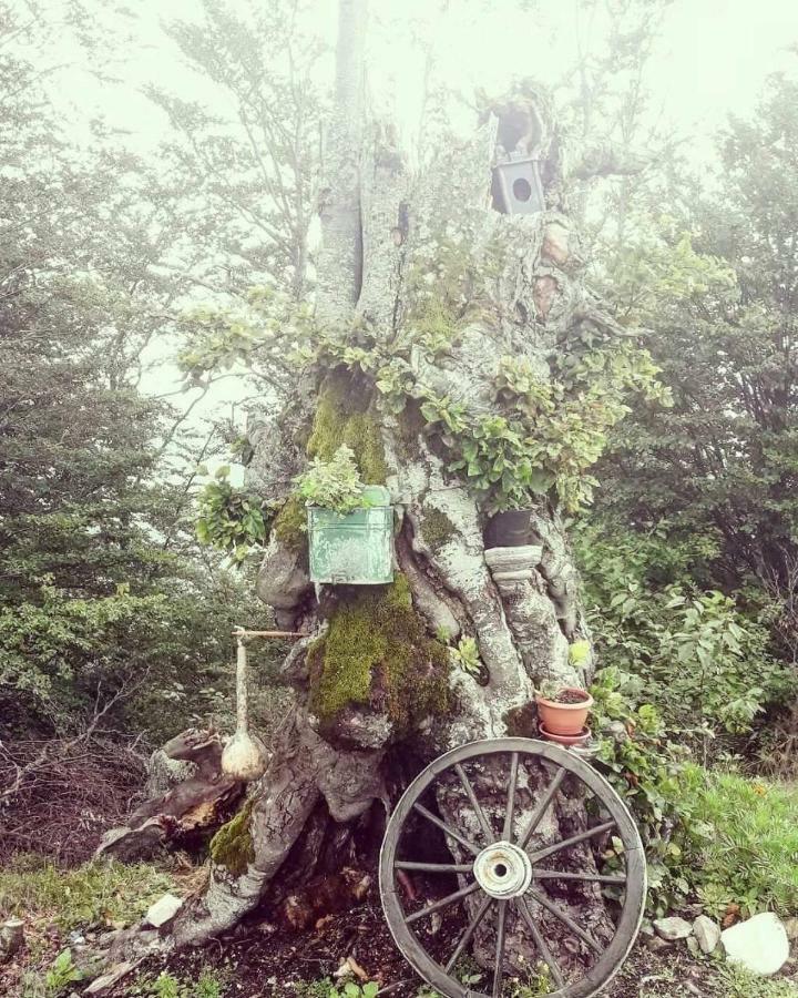 Vikendica RANKOVIĆI Villa Mokra Gora Buitenkant foto