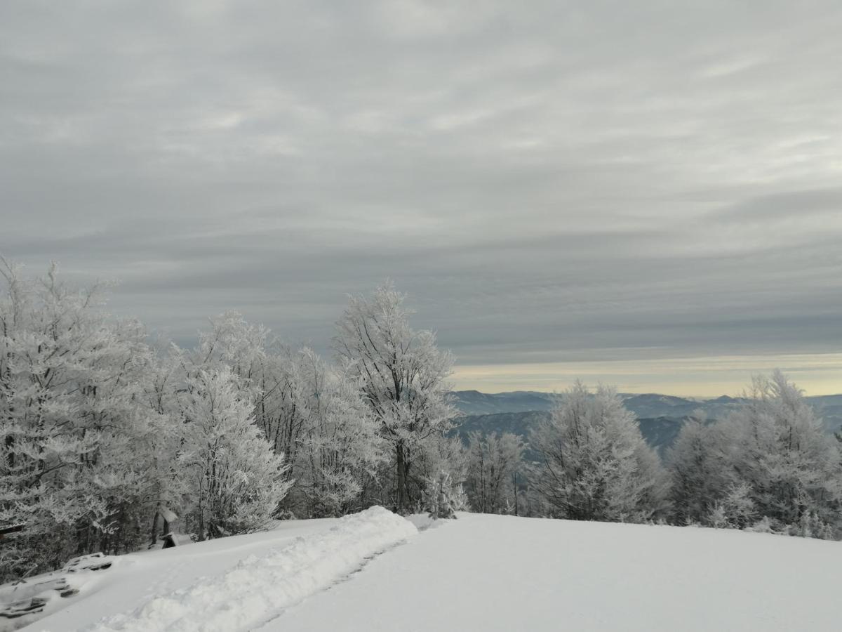 Vikendica RANKOVIĆI Villa Mokra Gora Buitenkant foto
