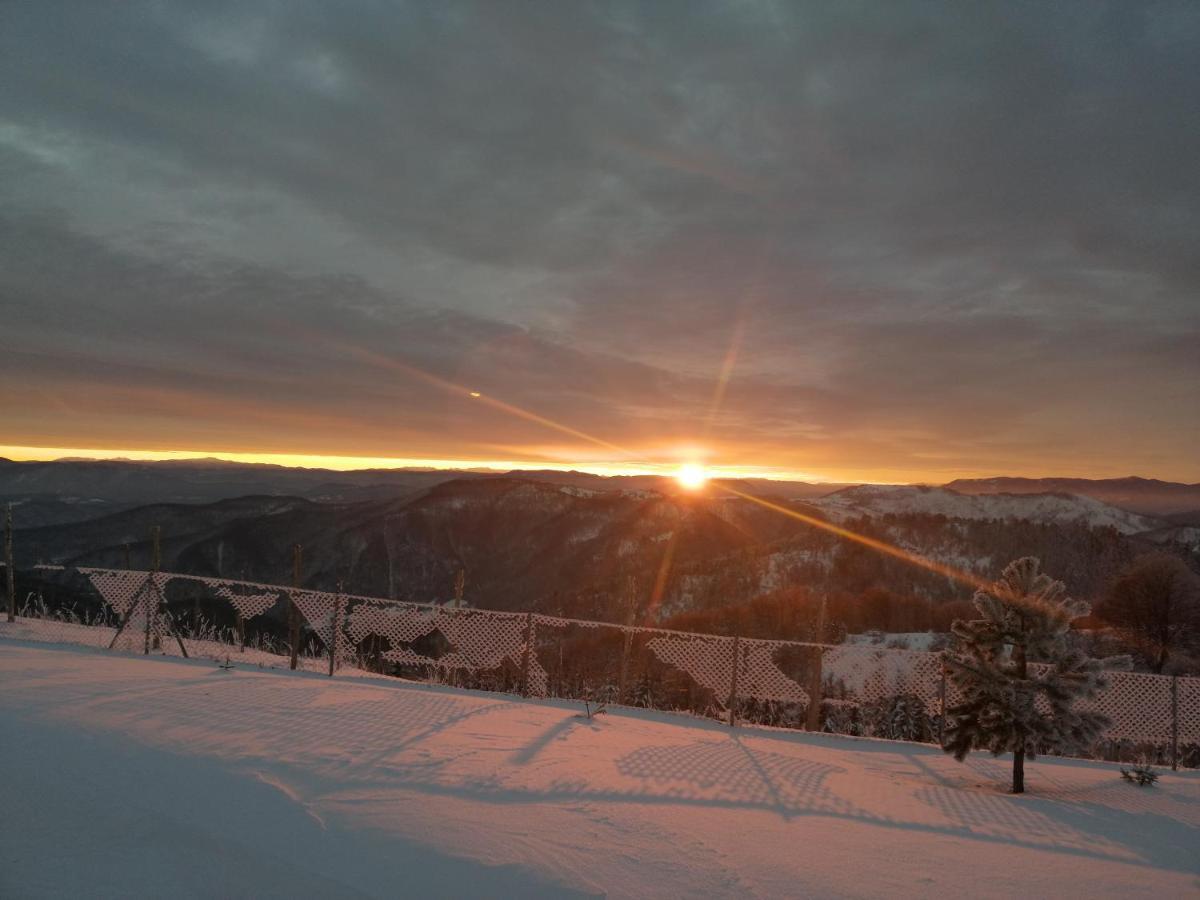 Vikendica RANKOVIĆI Villa Mokra Gora Buitenkant foto
