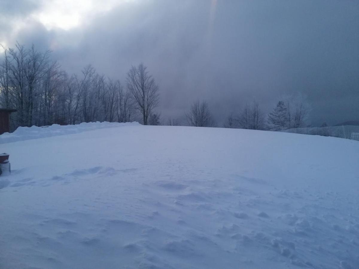 Vikendica RANKOVIĆI Villa Mokra Gora Buitenkant foto
