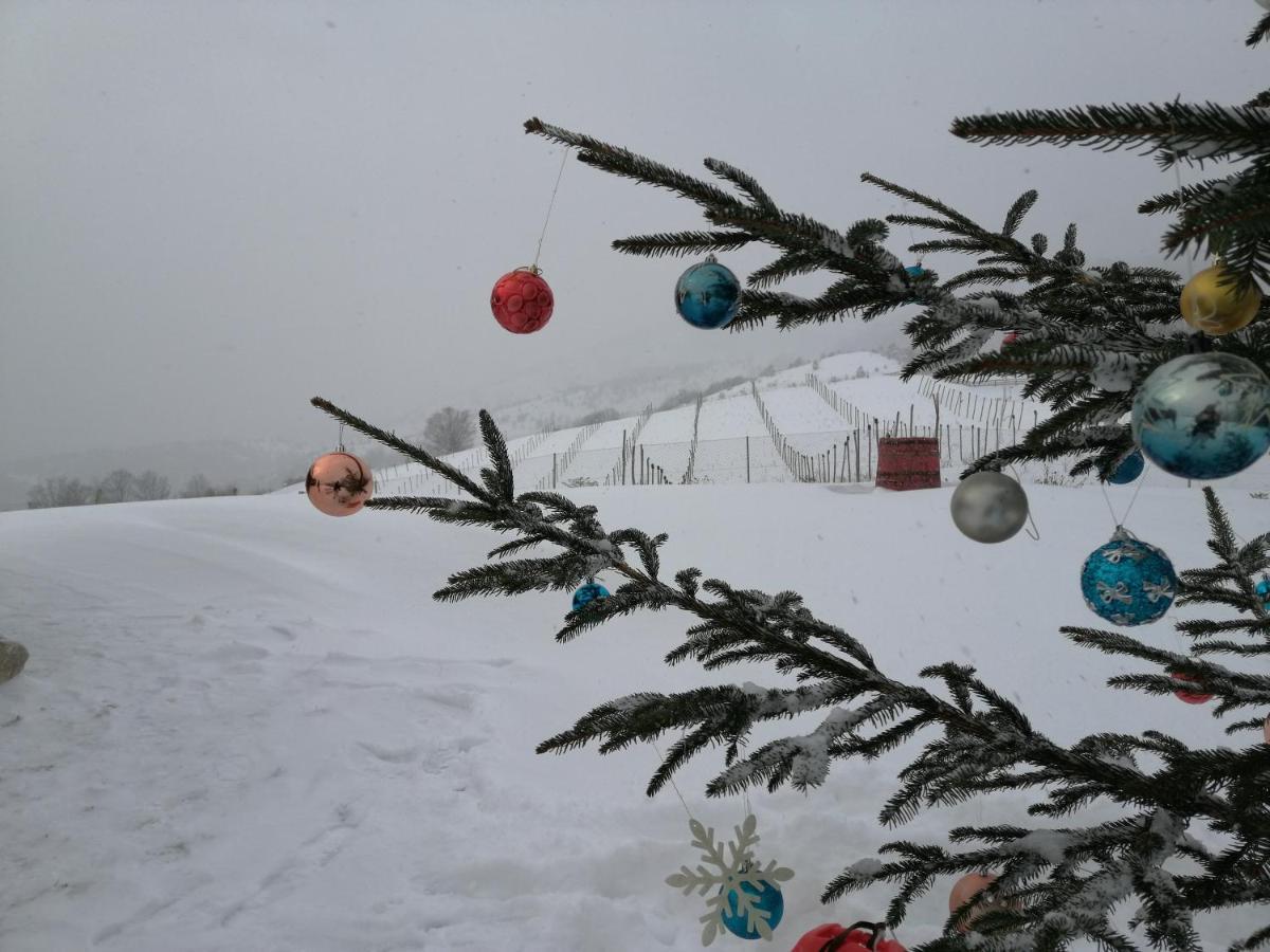 Vikendica RANKOVIĆI Villa Mokra Gora Buitenkant foto