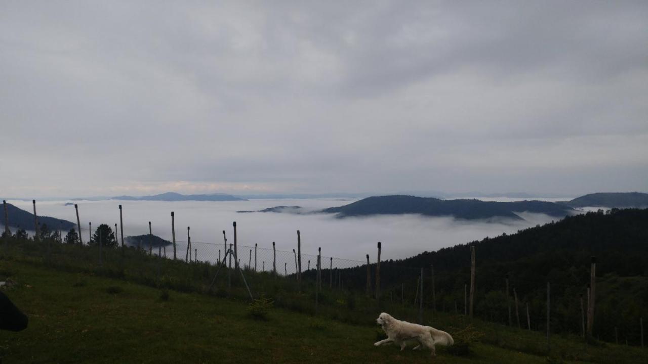 Vikendica RANKOVIĆI Villa Mokra Gora Buitenkant foto