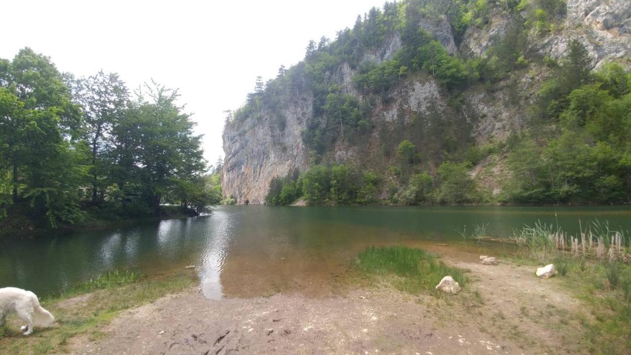 Vikendica RANKOVIĆI Villa Mokra Gora Buitenkant foto